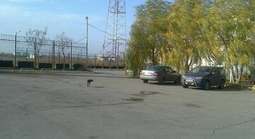 Фото номера Номер  Гостиница Balchug Motel г. Волгоград 11