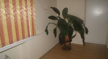 Фото номера Кровать в общем 6-местном номере Гостиница Podsolnuh Hostel г. Волгоград 9